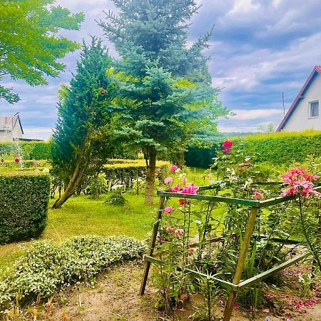 Agroturystyka Szerokopas Nidzica Dış mekan fotoğraf